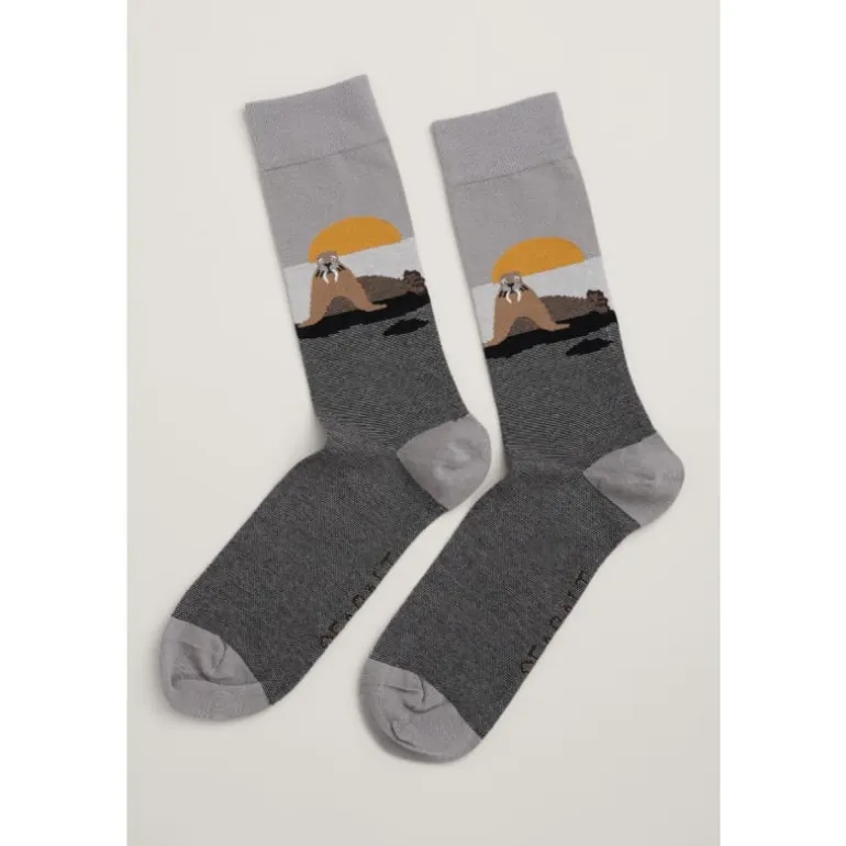 Seasalt Cornwall Men's Arty Organic Cotton Socks | Socks